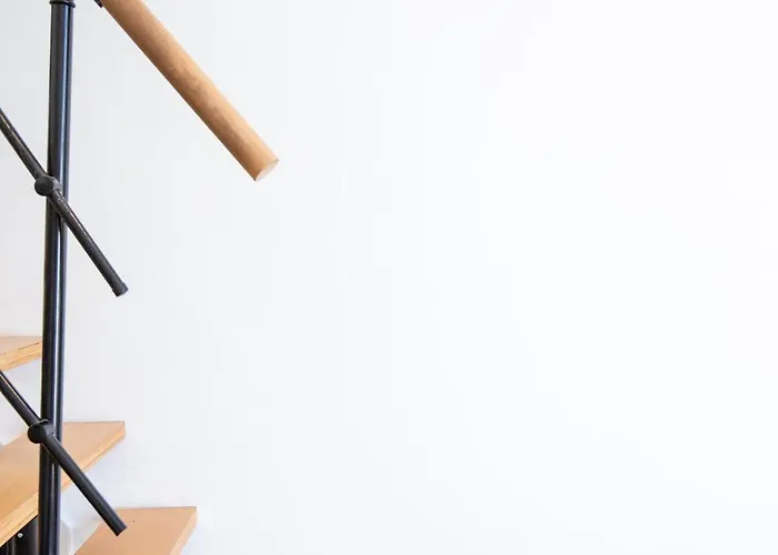 Homelivia Av Jean Medecin